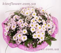 Букет из розовых хризантем